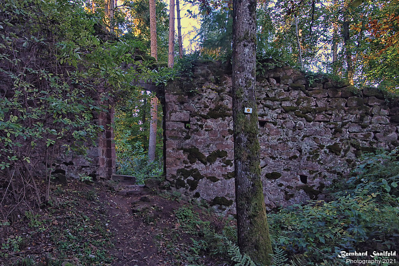 Bernhard Saalfeld - Ruine Wineck